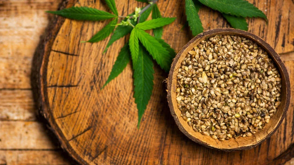 CBD and Endocannabinoid System