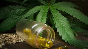 CBD for travelling