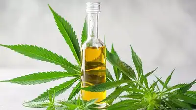 CBD Oil Support Everyday Wellness
