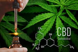 Use CBD Oil in the Morning