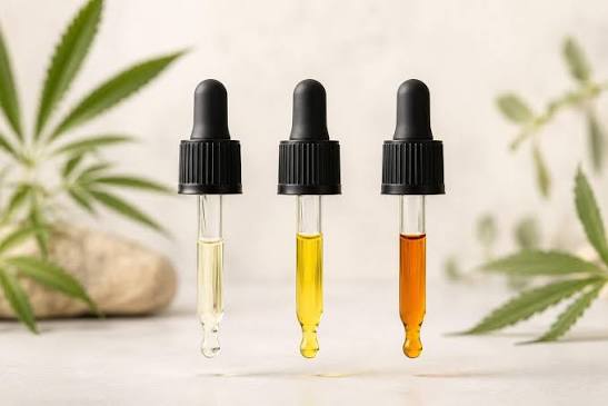 Full-Spectrum vs Broad-Spectrum CBD for Dogs